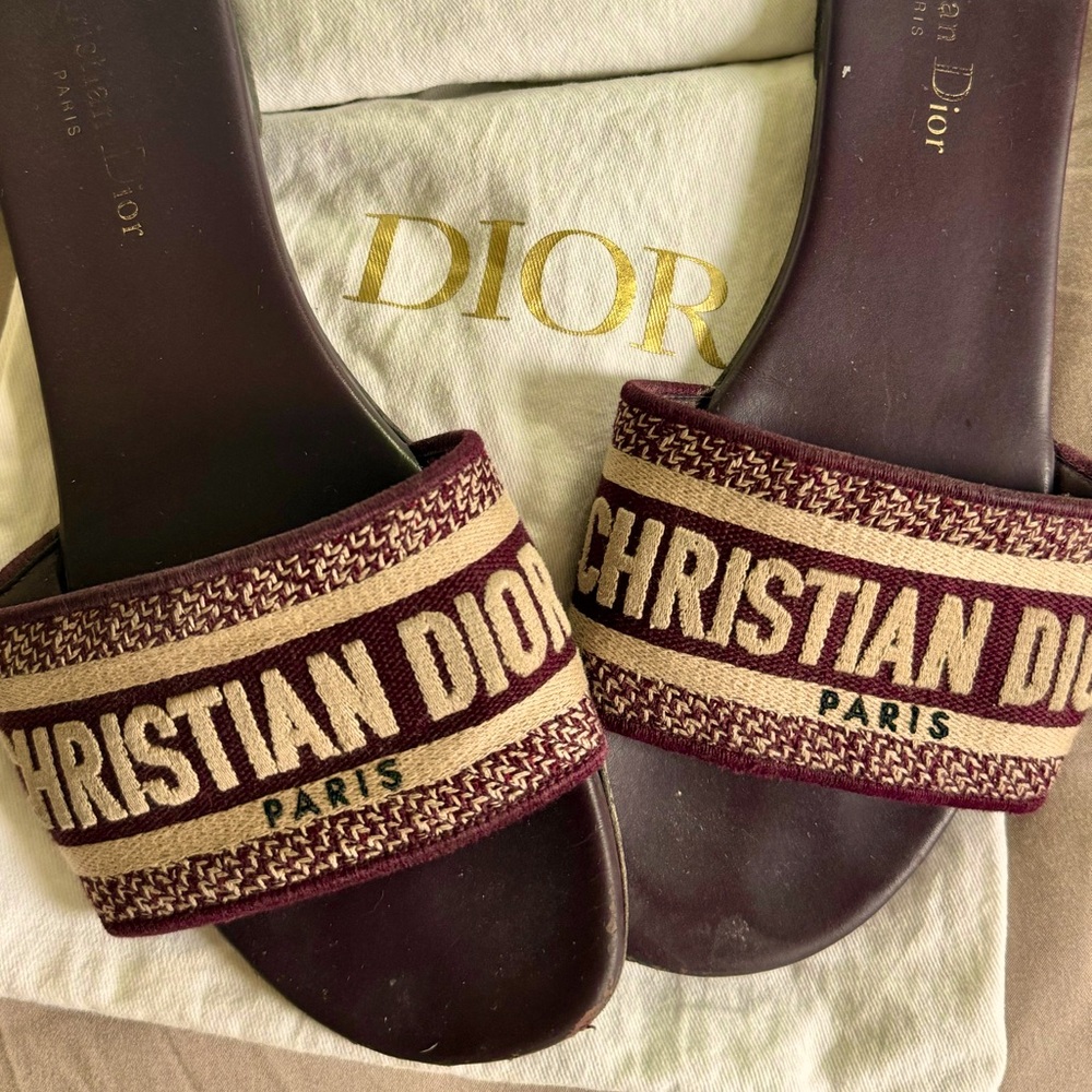 CHRISTIAN DIOR Dway Embroidered Slides